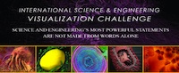 Science & Engineering Visualization Challenge