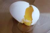 Broken Egg